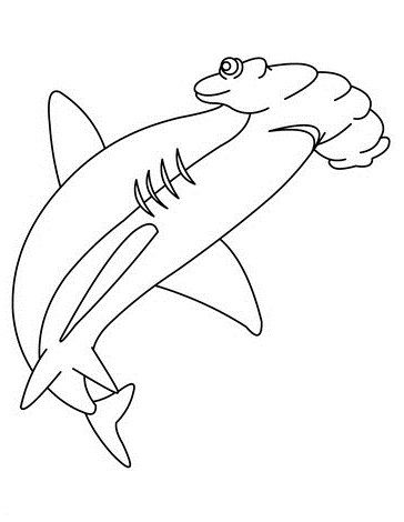 364x470 53 Best Sharks Images On Kids Net, Shark And Sharks