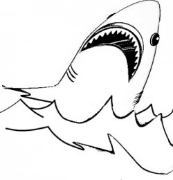 250x260 On This Page You'Ll Find Some Shark Coloring Pages Which I Have