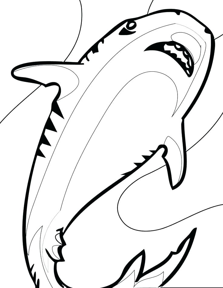 736x952 Shark Coloring Pages Printable Shark Coloring Book Plus Shark