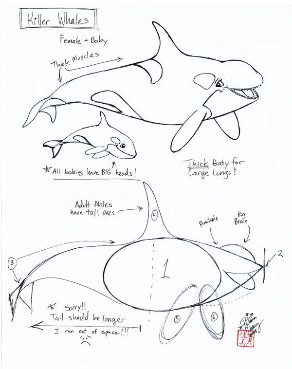 600x758 549 Best Sketch And Draw Images On Drawing Ideas