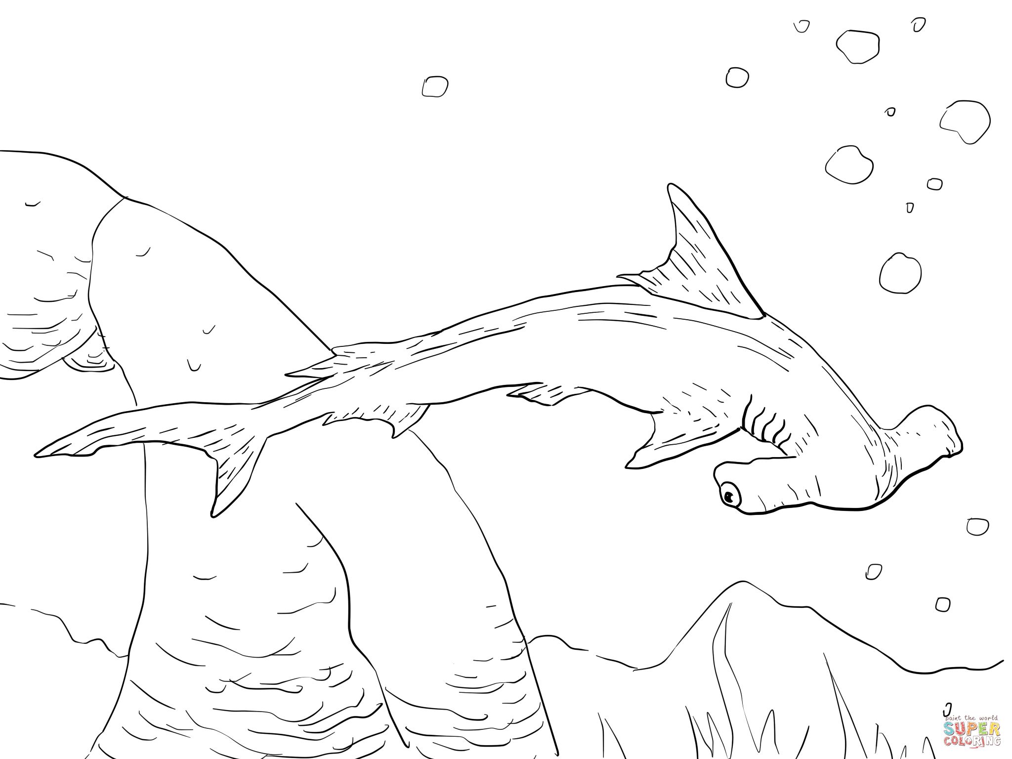 2048x1536 Shark Coloring Pages To Print