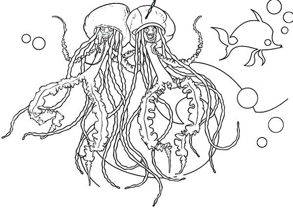 600x425 Batch Coloring