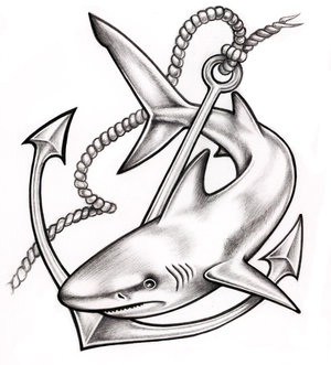 Shark Tattoo Drawing