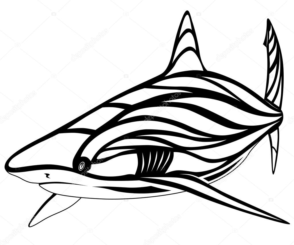 1023x852 Shark, Tattoo Stock Vector Flanker D