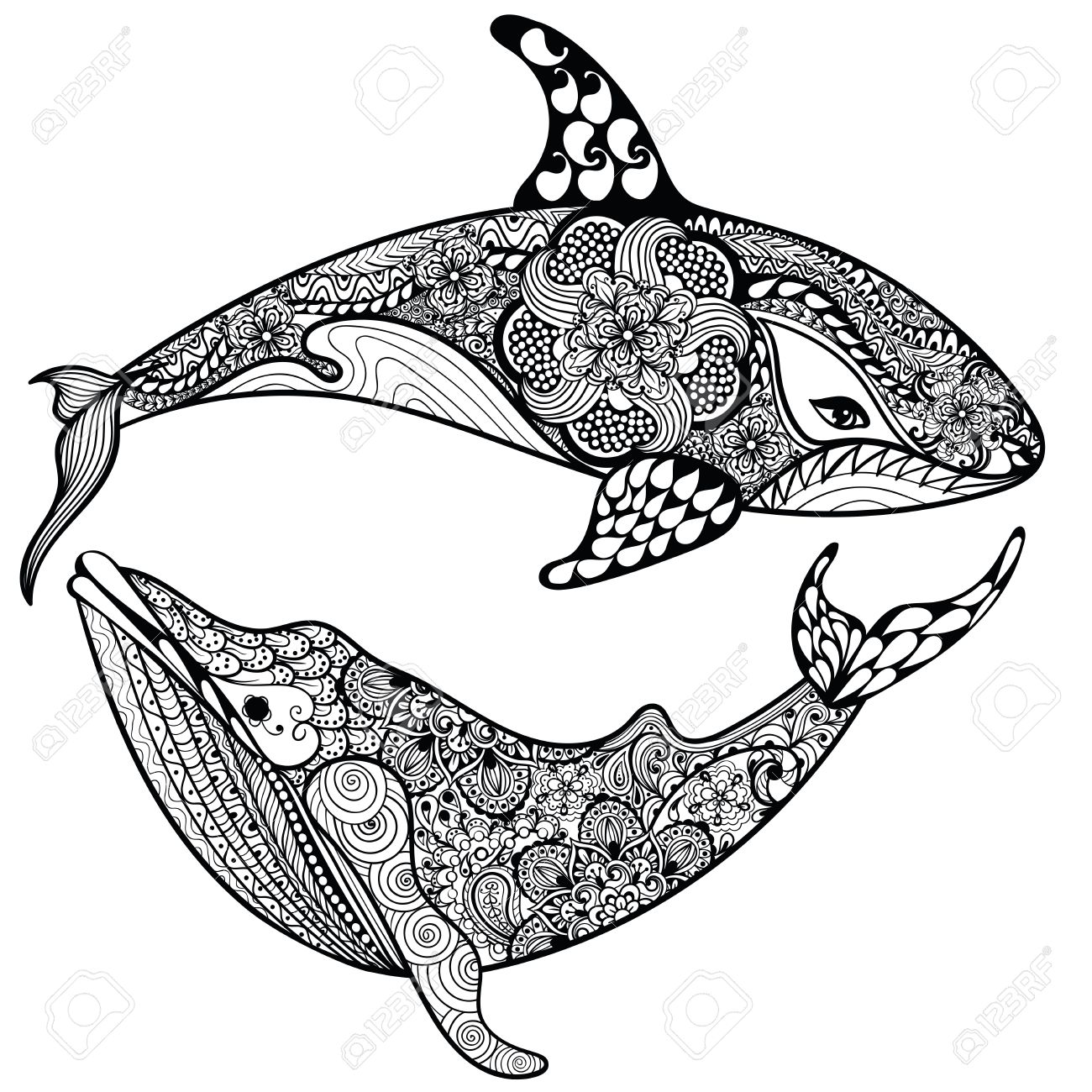 1300x1300 Zentangle Stylized Sea Shark And Whale. Hand Drawn Vector