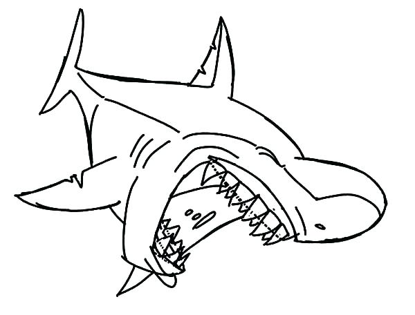 600x456 Shark To Color Shark Colouring Page 5 Whale Shark Coloring Pages