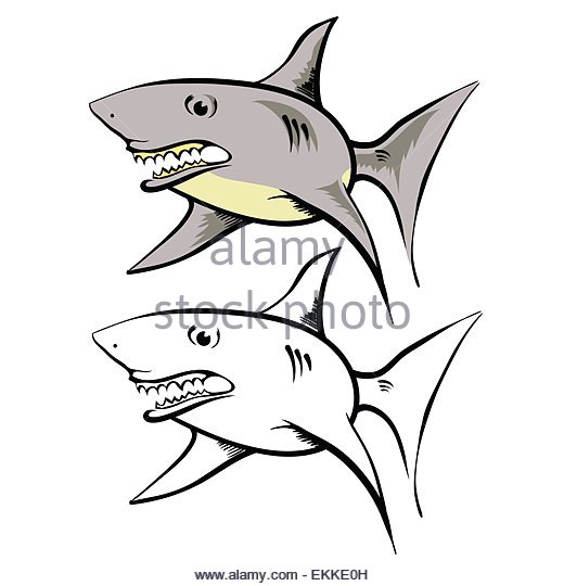 Shark With Mouth Open Drawing at GetDrawings | Free download