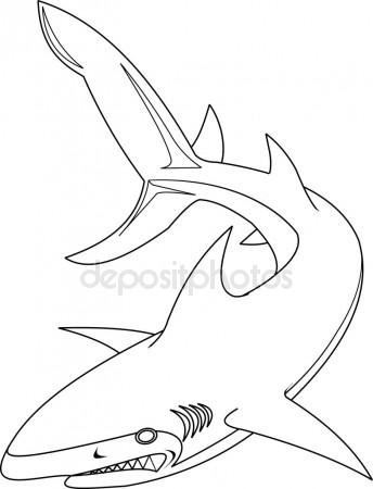 344x450 Graphic Drawing Ink Aggressive Shark With Open Mouth Stock