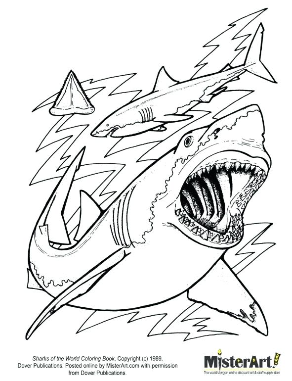 591x770 Mako Shark Coloring Page Sharks Coloring Pages With Best Great