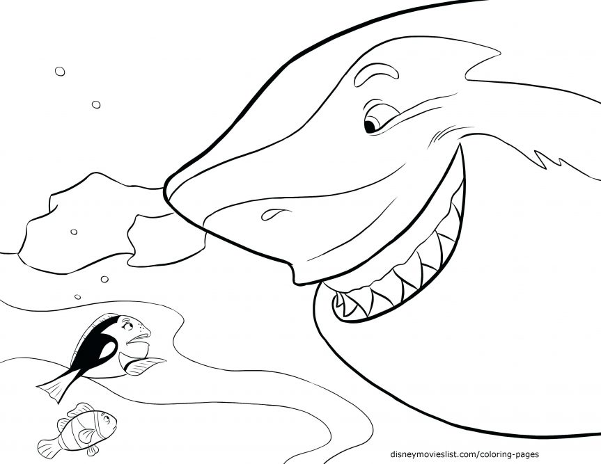863x667 Shark Picture To Color Finding The Coloring Page Hammerhead