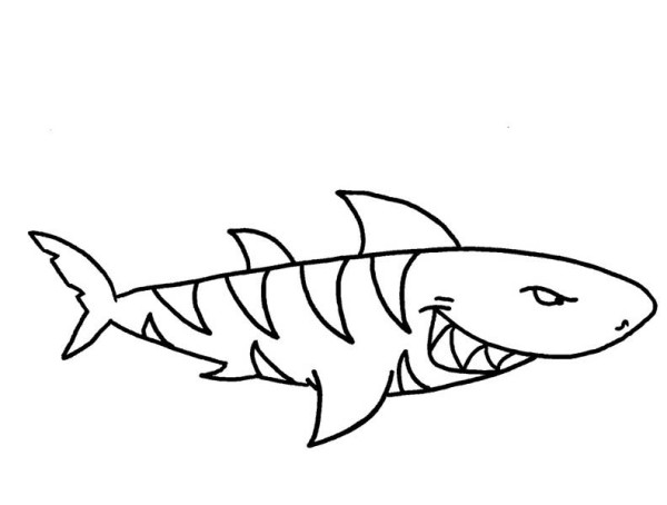 600x454 Shark Clipart, Suggestions For Shark Clipart, Download Shark Clipart