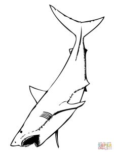 225x300 White Shark 1 Design Coloring Page