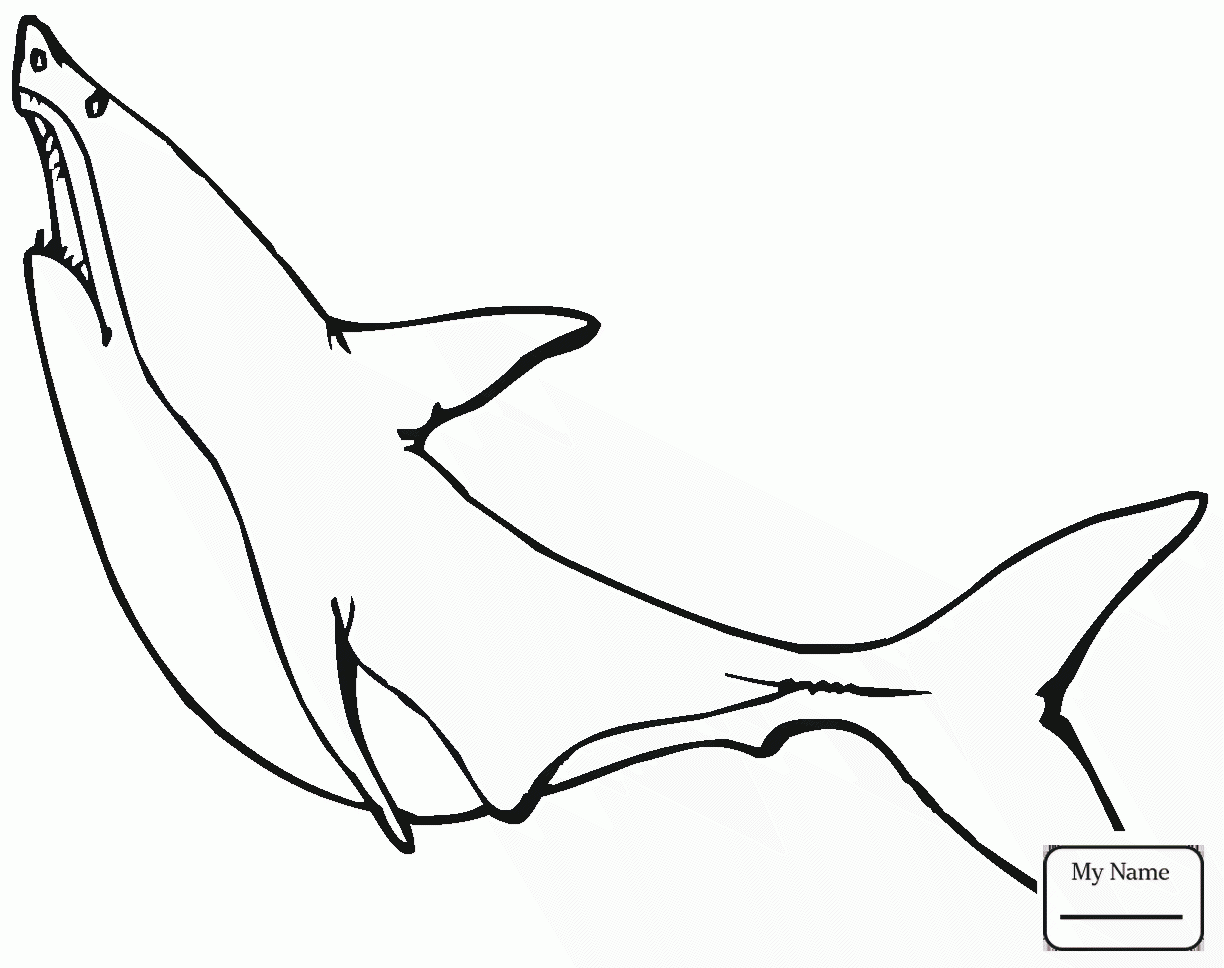 1224x968 Coloring Pages For Kids Great White Shark With Mouth Open Great