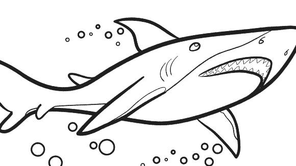 580x326 Great White Shark Coloring Page