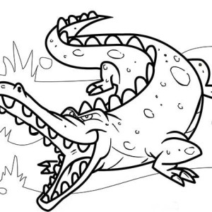 300x300 Drawing Baby Crocodile Coloring Page Coloring Sun