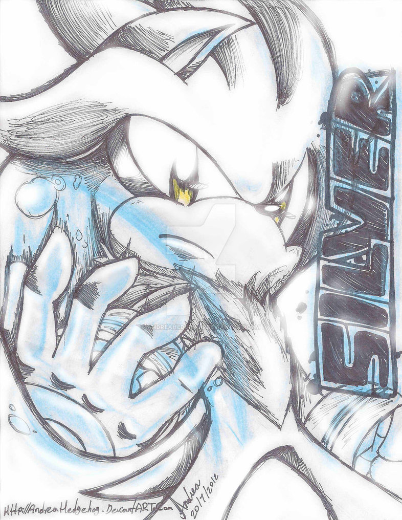 786x1016 Silver The Hedgehog Sharpie Doodle By Andreahedgehog
