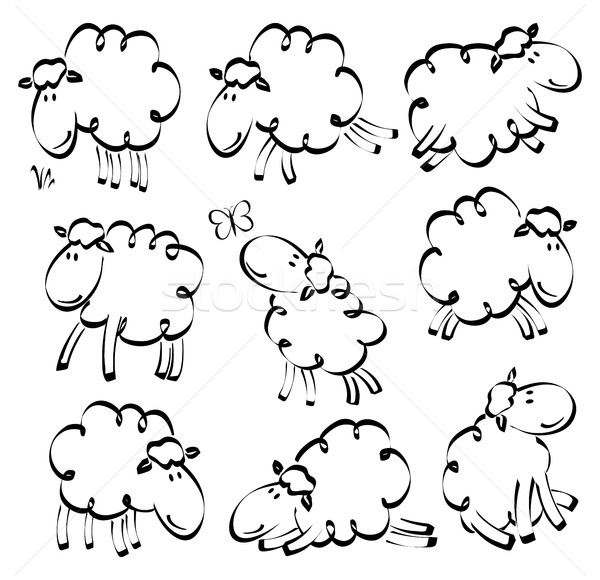 600x580 Funny Sheep Drawing Vector Illustration Jagoda ( 7920234