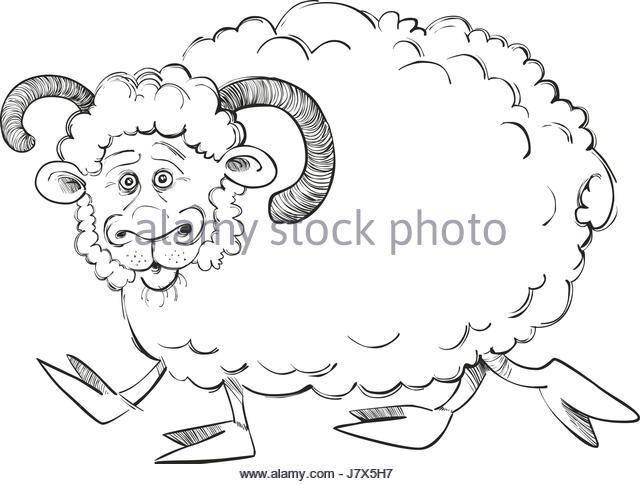 640x484 Sheep Cartoon Drawing Illustration Stock Photos Amp Sheep Cartoon
