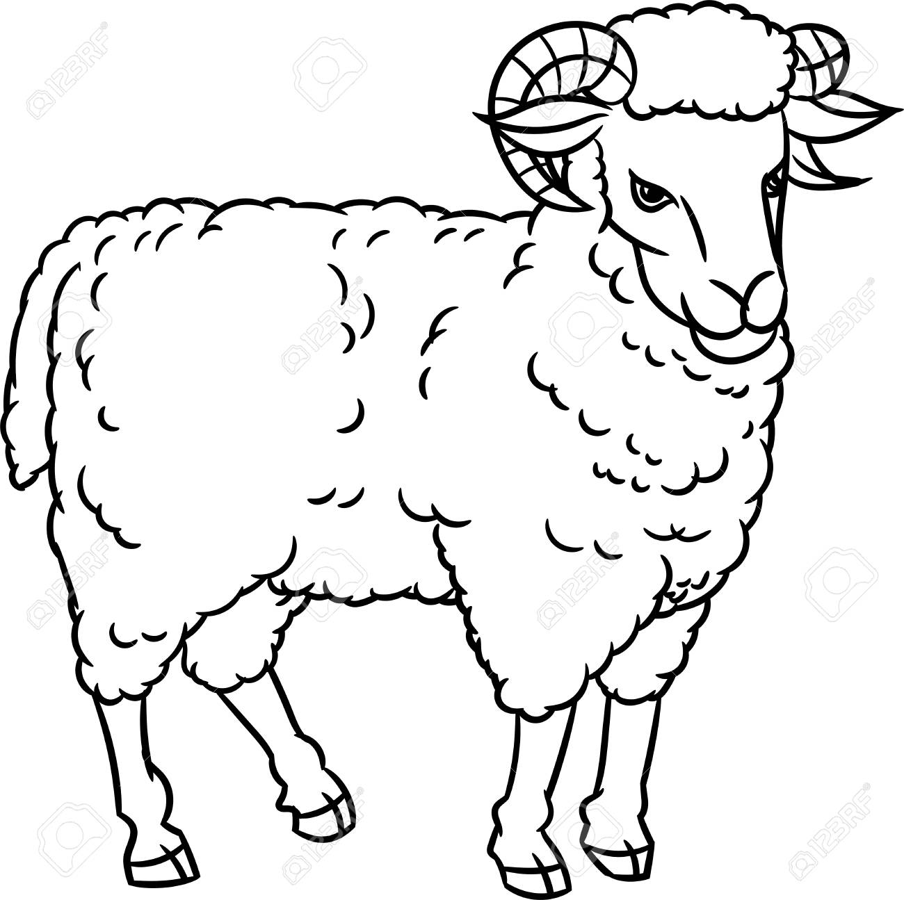 1300x1295 Hand Drawing Sheep. Farm Animals Set. Sketch Graphic Style