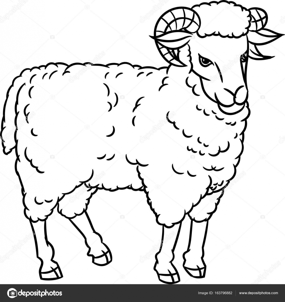 967x1024 Hand Drawing Sheep Vector Illustration Stock Vector Dcliner07