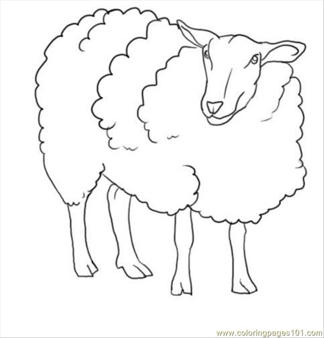 650x679 How To Draw A Sheep Step 7 Coloring Page