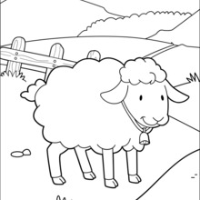 220x220 Sheep Coloring Pages, Reading Amp Learning, Drawing For Kids