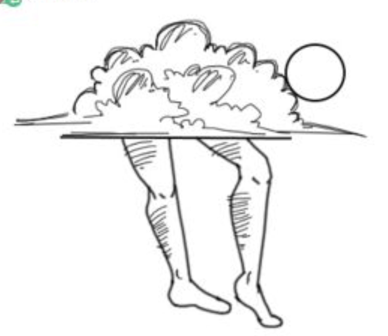 1242x1075 How To Draw A Sheep