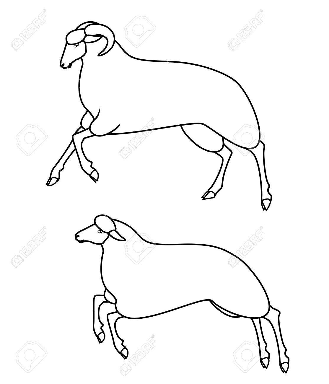 1114x1300 Drawing Of Running Sheep Stock Photo, Picture And Royalty Free