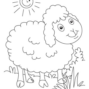 300x300 Drawing Sheep Outline Coloring Page Coloring Sky
