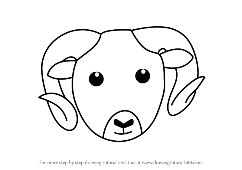 800x562 Learn How To Draw A Mountain Sheep Face Kids (Animal Faces