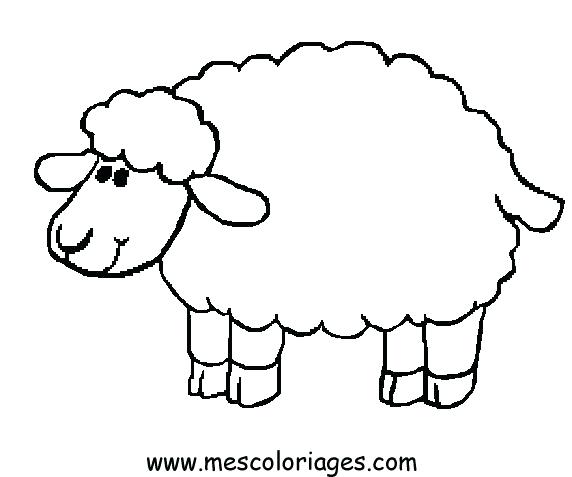 572x477 Sheep Coloring Page Preschool For Beatiful Print Kids Coloring