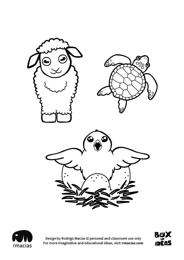 596x843 Baby Sheep Turtle And Bird Animal Adults And Kids Drawings