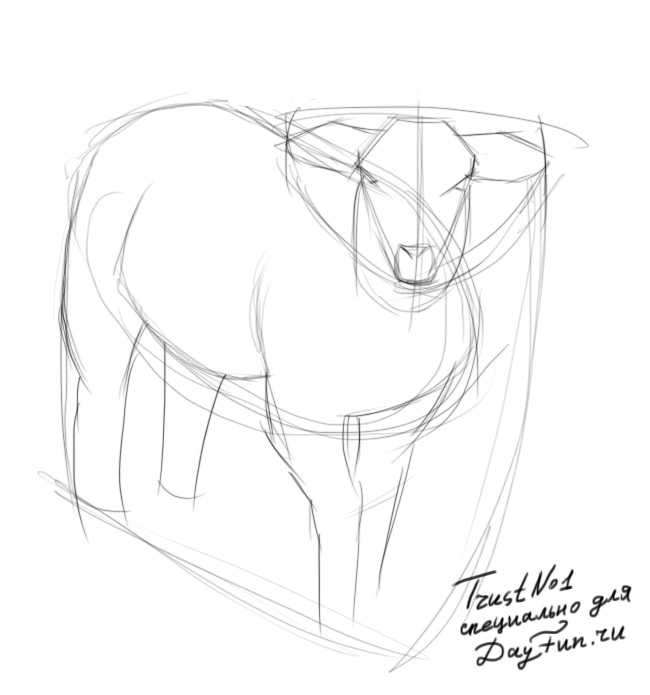 650x695 How To Draw A Sheep Step By Step