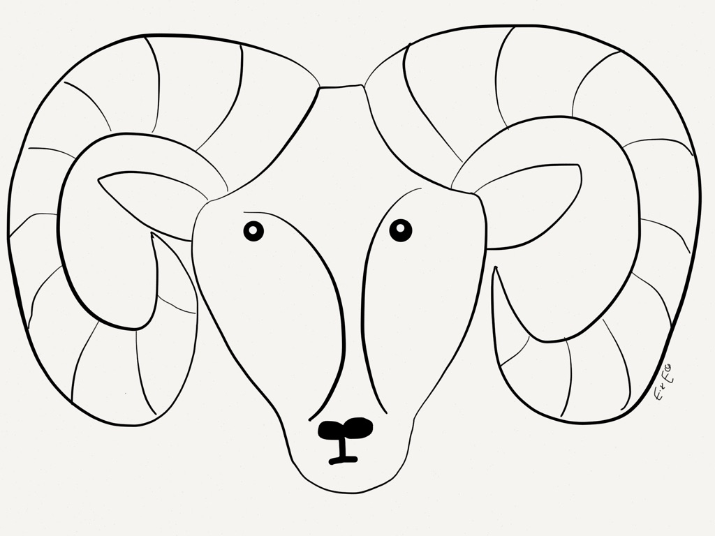 1024x768 How To Draw A Bighorn Sheep February 2015 The Adventures Of Ellie