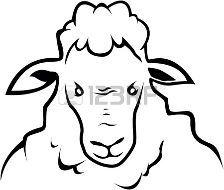 450x382 Sheep Face Isolated. Ewe Head. Vector Illustration Royalty Free