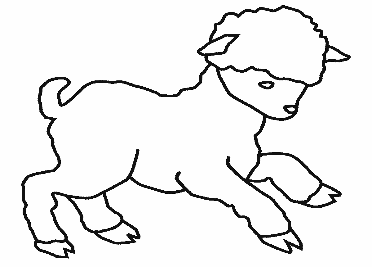 1200x860 Drawn Lamb Baby Sheep