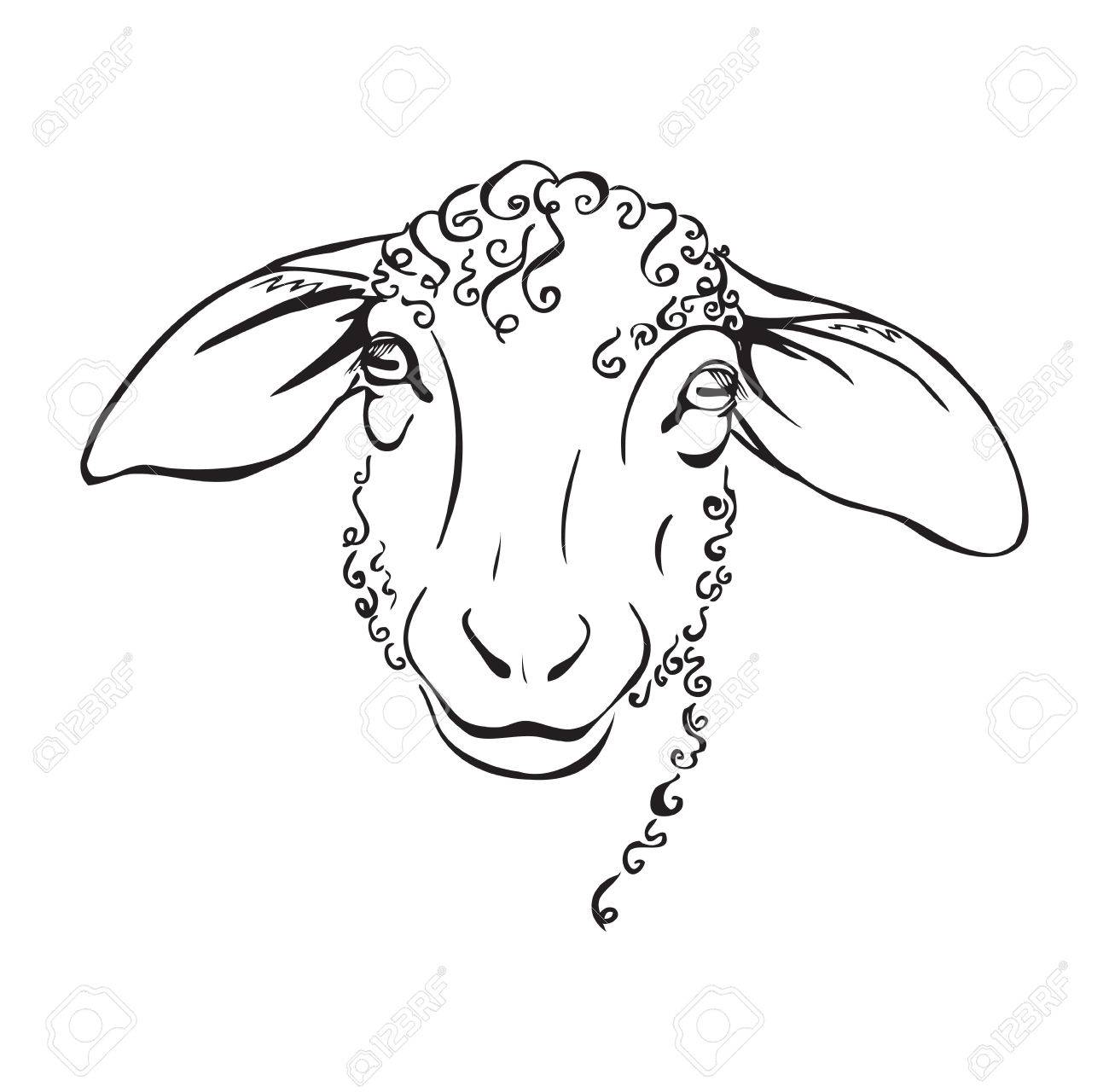 1300x1280 Head Sheep, Stylized Black And White Vector Illustration Royalty