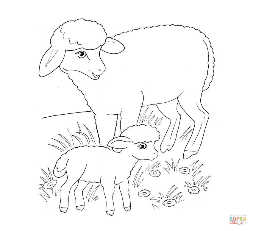 850x776 Sheep Mother And Lamb Coloring Page Free Printable Coloring Pages