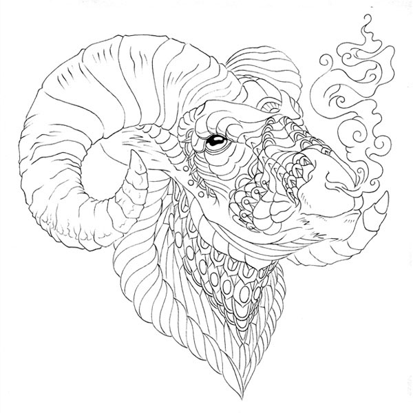 600x600 Bighorn Sheep On Behance