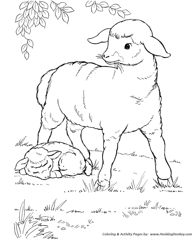 670x820 Drawing Of A Sheep Sheet Goat Drawing
