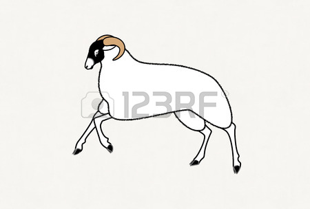 450x304 Drawing Of Running Sheep Stock Photo, Picture And Royalty Free