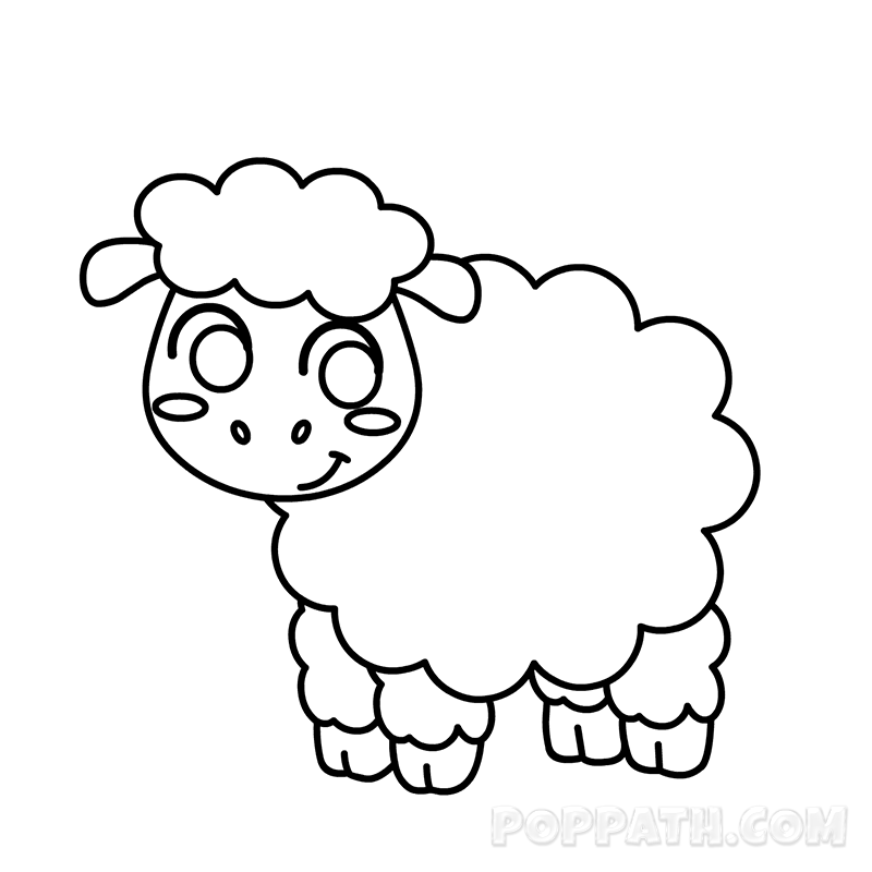 800x800 How To Draw A Sheep Pop Path