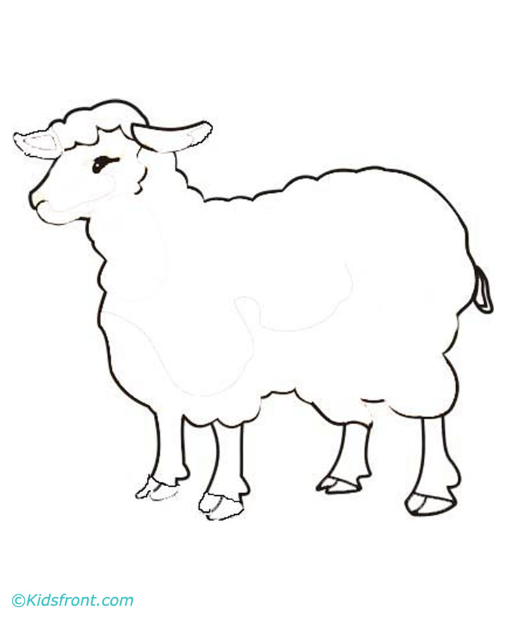 720x880 Animals Names, Birds Names, Pet Names