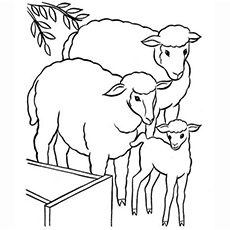230x230 Top 25 Free Printable Sheep Coloring Pages Online