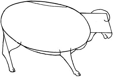 380x260 Another Way To Draw Sheep How To Draw Sheep