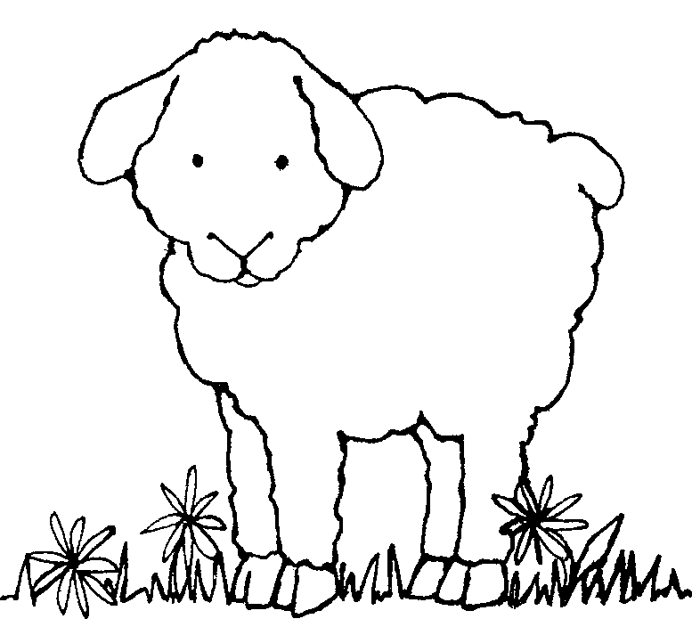 777x704 Free Lamb Clip Art Pictures