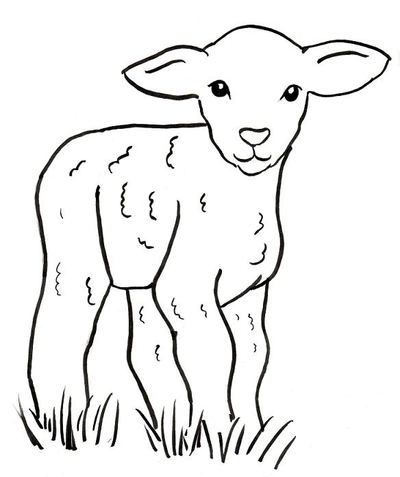 584x696 Lamb Coloring Page