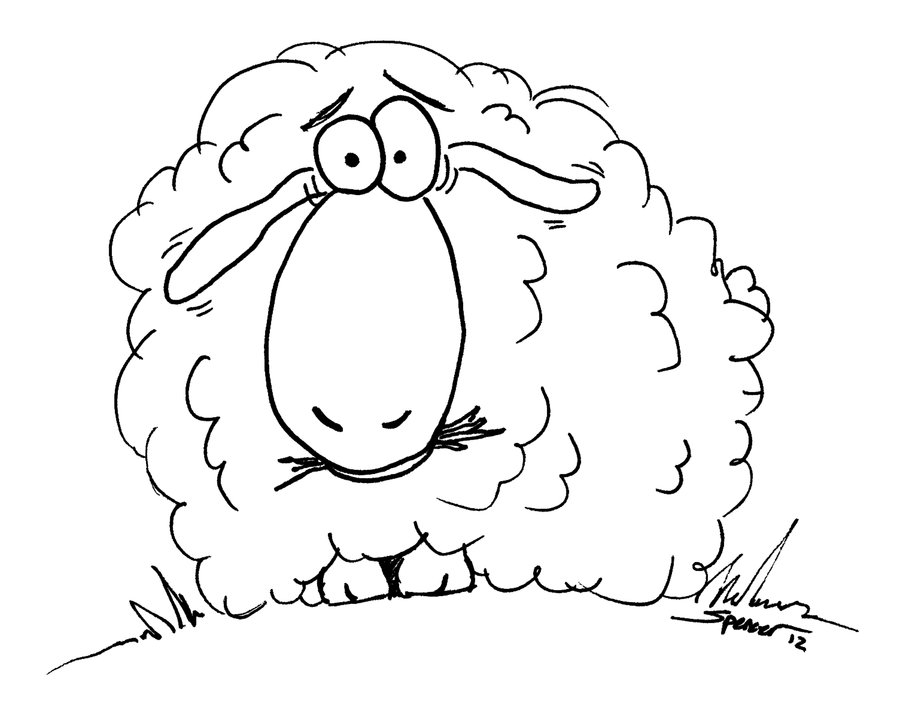 900x720 Surprised Sheep Line Art By Bnspencer