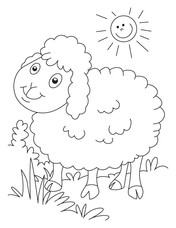 612x792 Sheep Coloring Pages Sheep Outline Coloring Page Minecraft Sheep