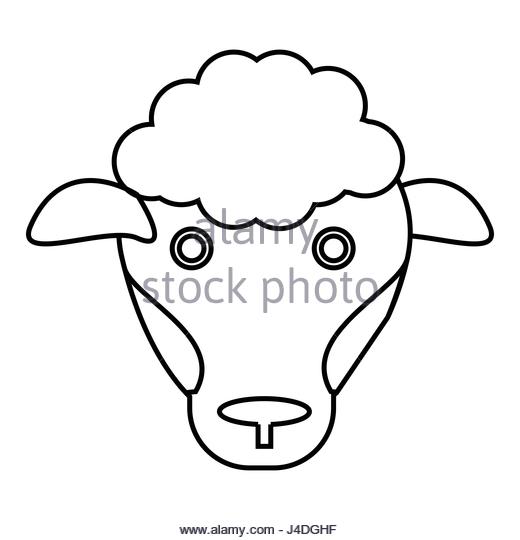 520x540 Black Sheep Drawing Stock Photos Amp Black Sheep Drawing Stock